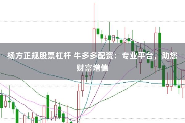 杨方正规股票杠杆 牛多多配资：专业平台，助您财富增值