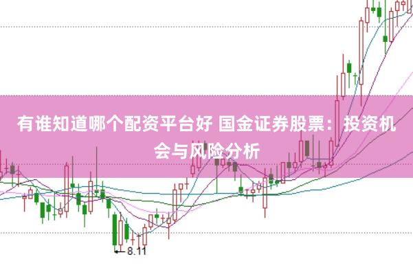 有谁知道哪个配资平台好 国金证券股票：投资机会与风险分析