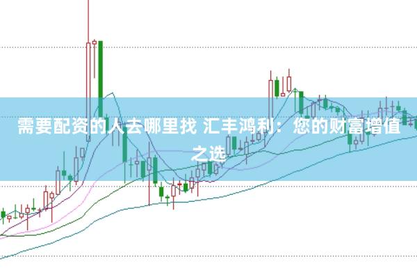需要配资的人去哪里找 汇丰鸿利：您的财富增值之选