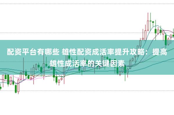 配资平台有哪些 雄性配资成活率提升攻略：提高雄性成活率的关键因素