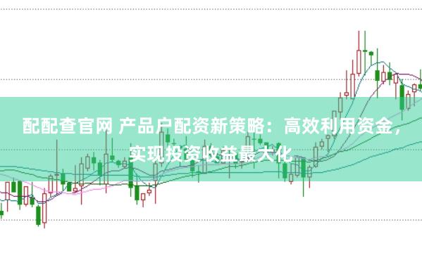 配配查官网 产品户配资新策略：高效利用资金，实现投资收益最大化