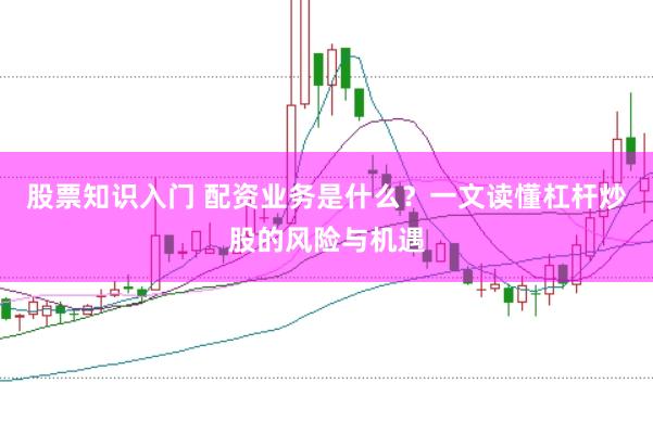 股票知识入门 配资业务是什么？一文读懂杠杆炒股的风险与机遇
